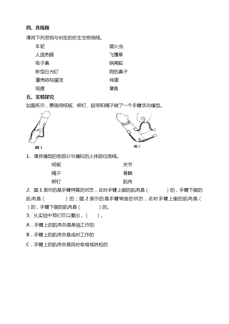 苏教版科学五年级下册8我们来仿生 试题(含答案解析)第2页