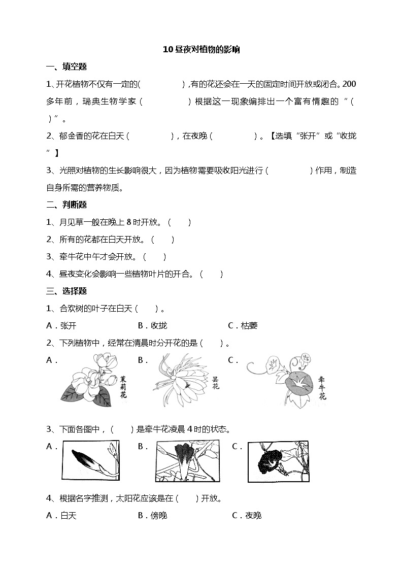 苏教版科学五年级下册10昼夜对植物的影响 试题（含答案解析）01