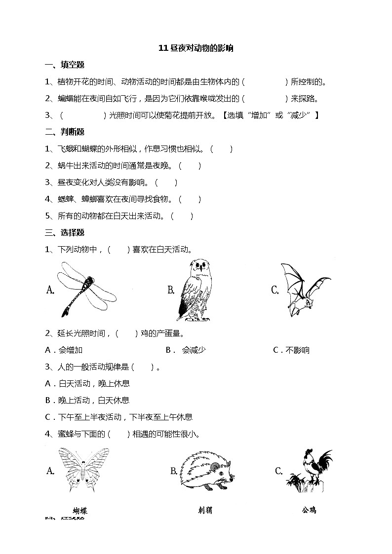 苏教版科学五年级下册11昼夜对动物的影响 试题(含答案解析)01