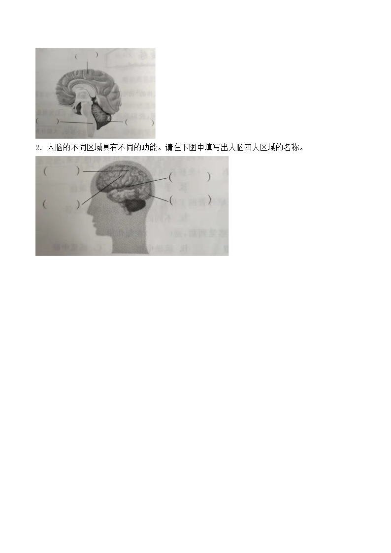 青岛版科学五年级下册1.1《我们的脑》课件+教案+练习（含答案）+素材03