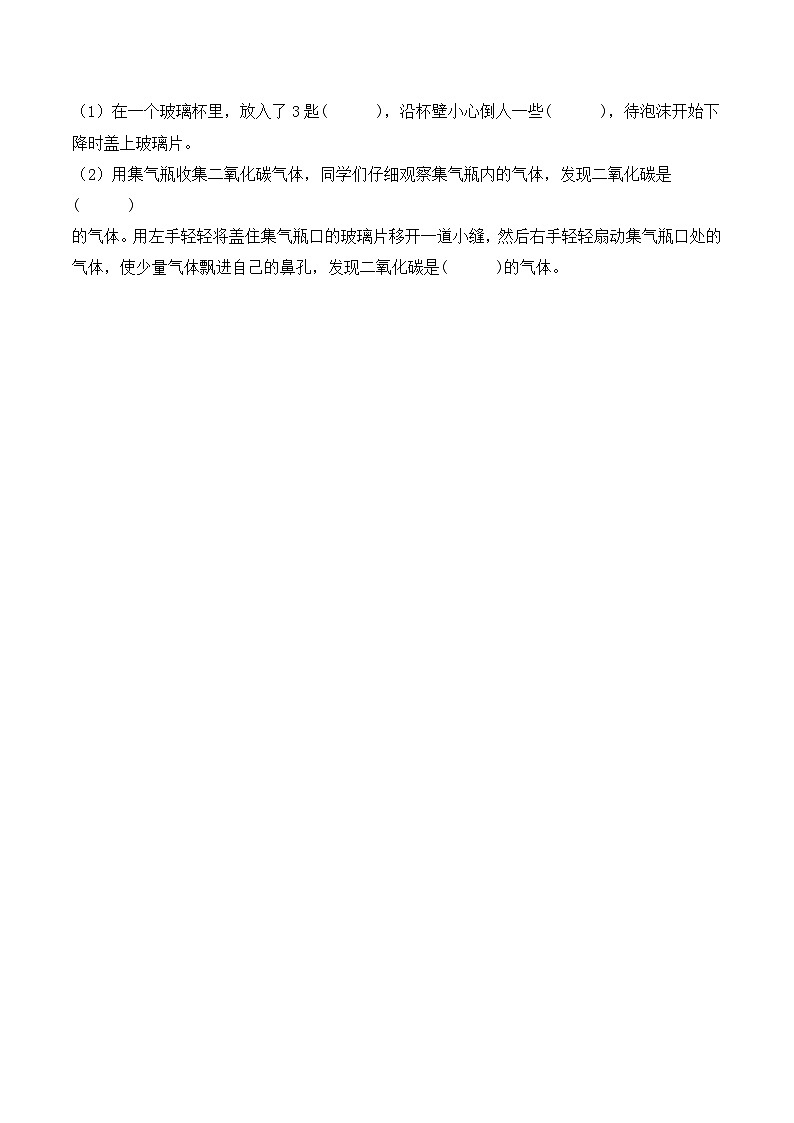 青岛版科学五年级下册2.8《二氧化碳》课件+教案+练习(含答案)+素材03