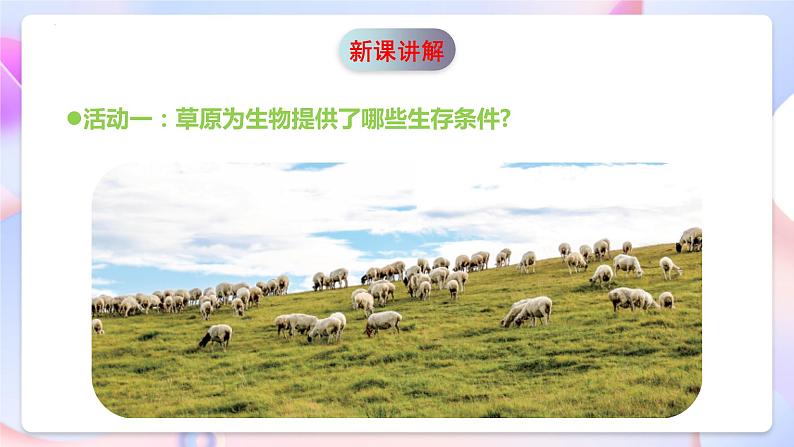 青岛版科学五年级下册5.19《生物的栖息地》课件+教案+练习(含答案)+素材07