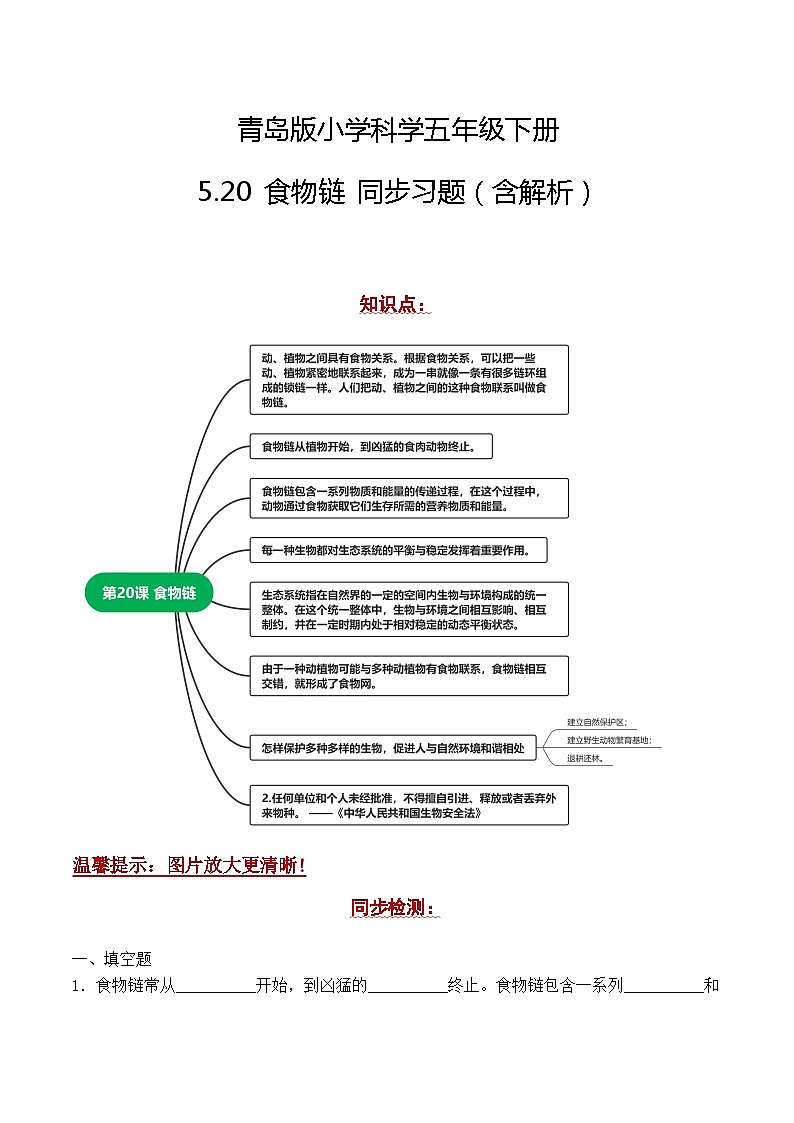 青岛版科学五年级下册5.20《食物链》课件+教案+练习(含答案)+素材01