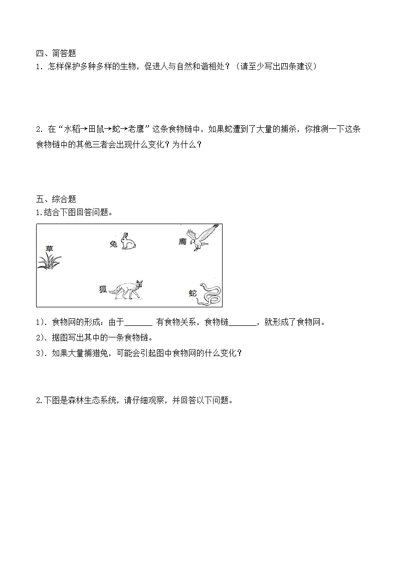 青岛版科学五年级下册5.20《食物链》课件+教案+练习(含答案)+素材03