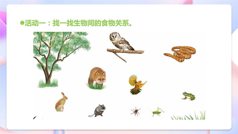 青岛版科学五年级下册5.20《食物链》课件+教案+练习(含答案)+素材07