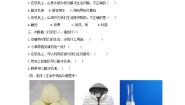 科学二年级下册1 荒岛生存练习题