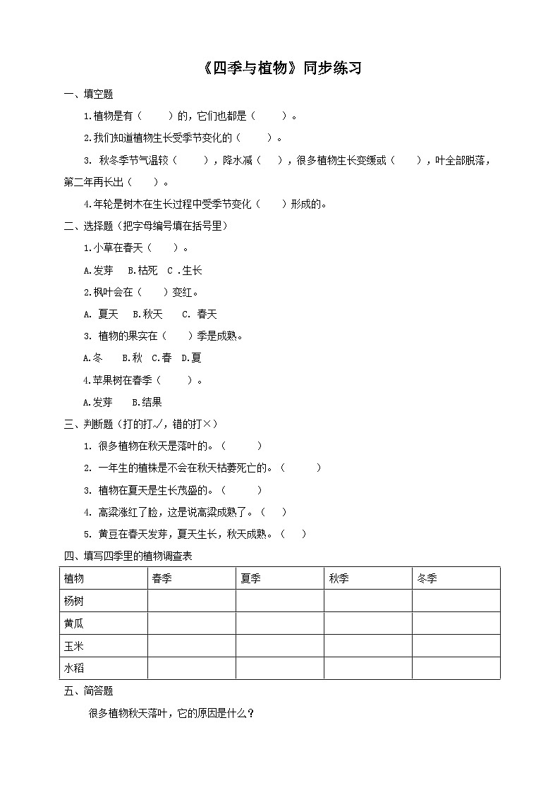大象版科学二年级下册3.3四季与植物同步练习01