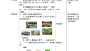 青岛版 (六三制2017)第四单元 植物的生长13 不同环境中的植物教案设计