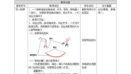 小学科学青岛版 (六三制2017)四年级下册19 导体和绝缘体教学设计