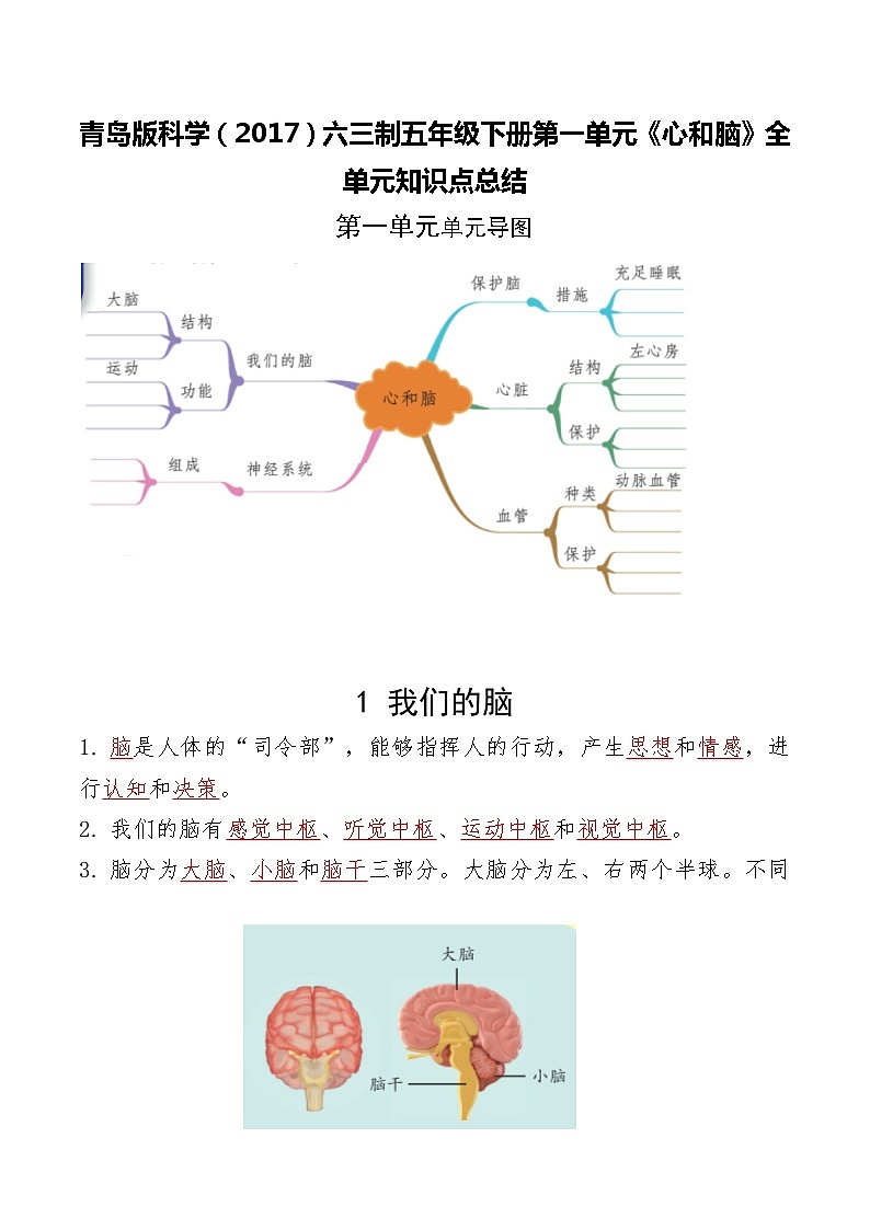 青岛版科学(2017)六三制五年级下册第一单元《心和脑》单元知识点总结01