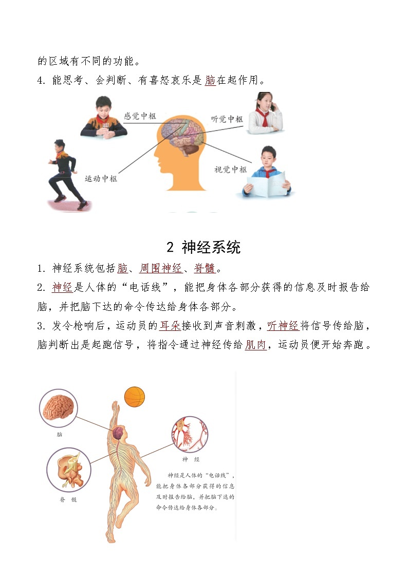 青岛版科学(2017)六三制五年级下册第一单元《心和脑》单元知识点总结02