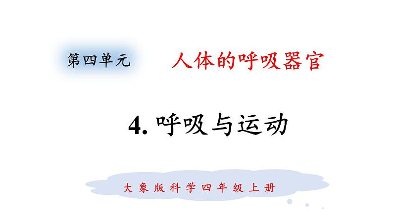 大象版(2017)科学四年级上册第四单元第四节《 呼吸与运动》课件第1页