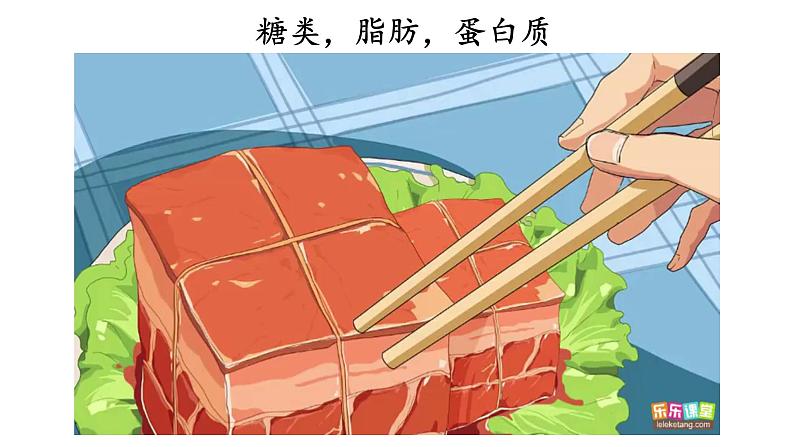 大象版(2017)科学四年级上册第四单元第四节《 呼吸与运动》课件第2页