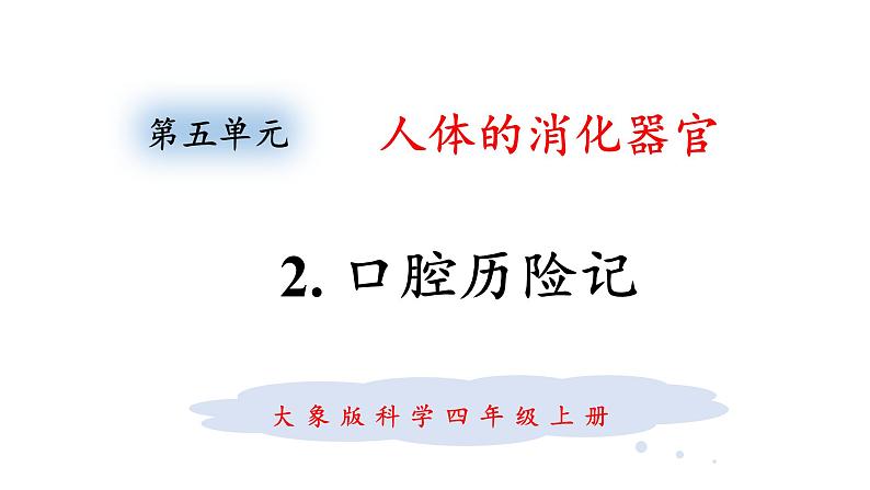 大象版(2017)科学四年级上册第五单元第二节《口腔历险记》课件第1页