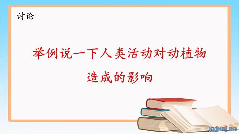 大象版(2017)科学四年级下册第一单元第五节《和谐相处是一家》课件05