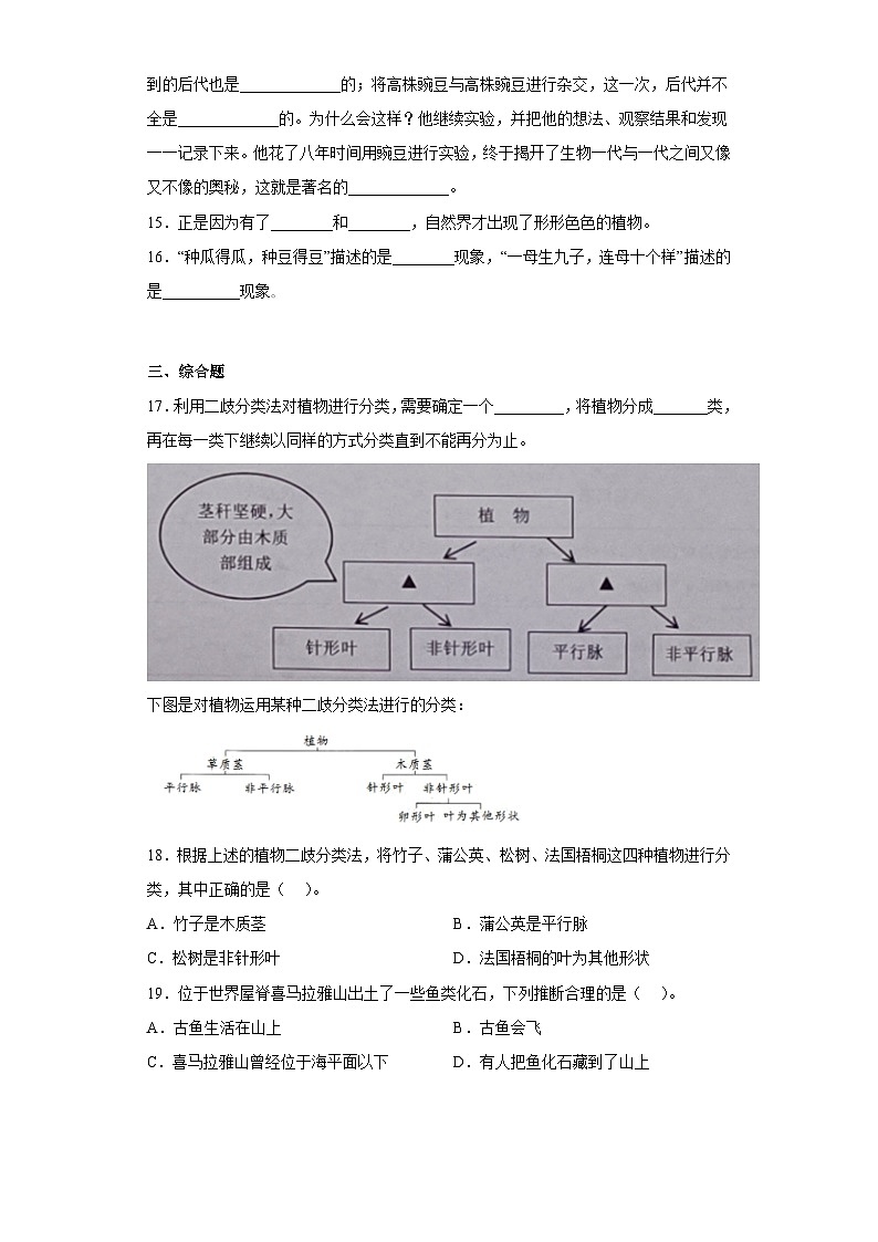 2023-2024教科版科学六年级下册2.3习题02