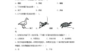 小学科学4.多种多样的动物习题