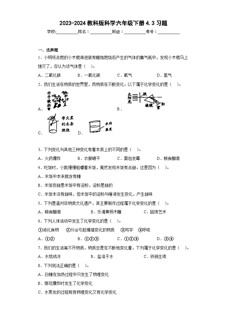 2023-2024教科版科学六年级下册4.3习题01