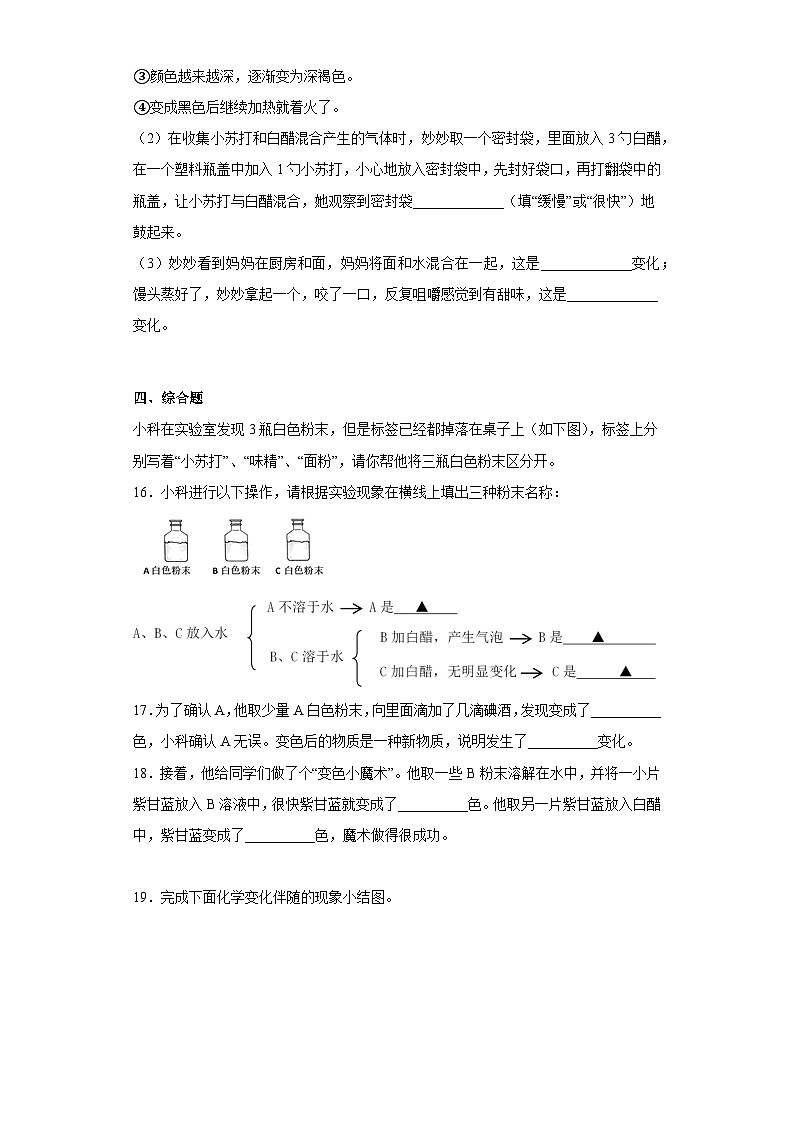 2023-2024教科版科学六年级下册4.4习题第3页