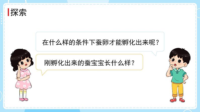 教科版科学三年级下册(2-1)迎接蚕宝宝的到来-教学课件PPT第4页