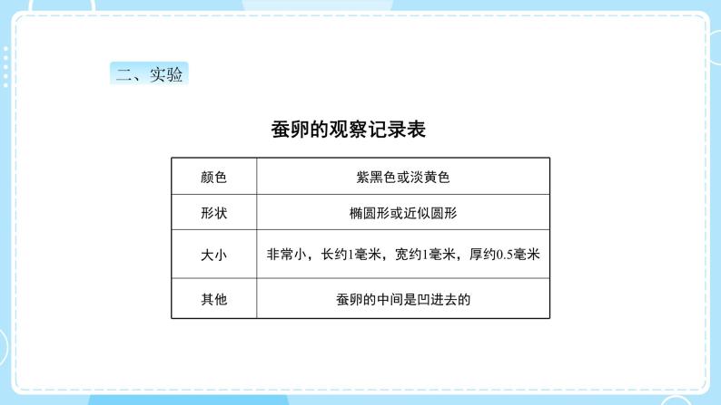 教科版科学三年级下册（2-1）迎接蚕宝宝的到来-教学课件PPT05