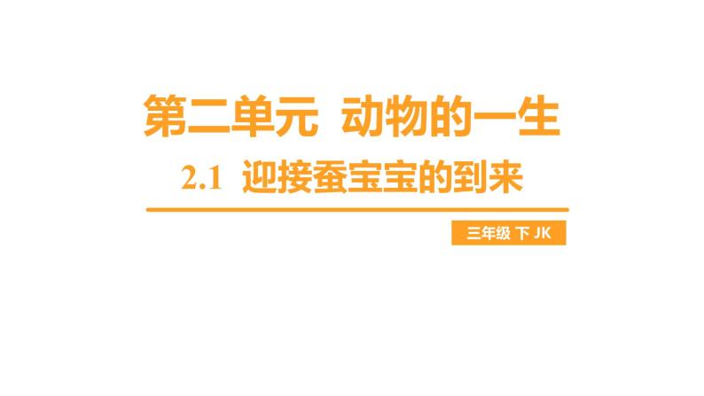 教科版科学三年级下册（2-1）迎接蚕宝宝的到来-教学课件PPT01