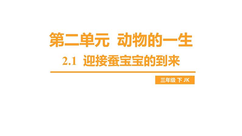 教科版科学三年级下册(2-1)迎接蚕宝宝的到来 习题4第1页