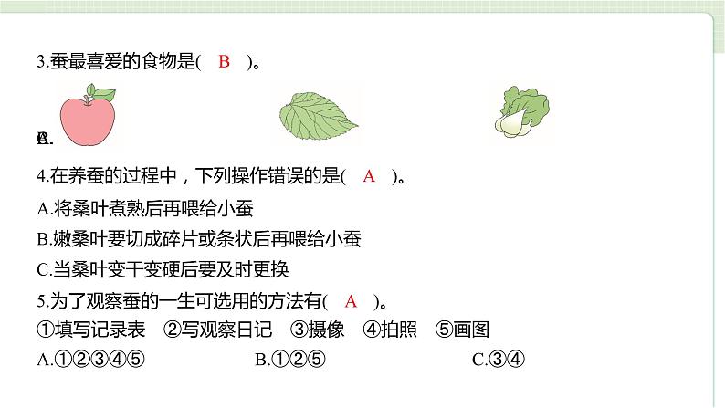 教科版科学三年级下册(2-1)迎接蚕宝宝的到来 习题4第3页
