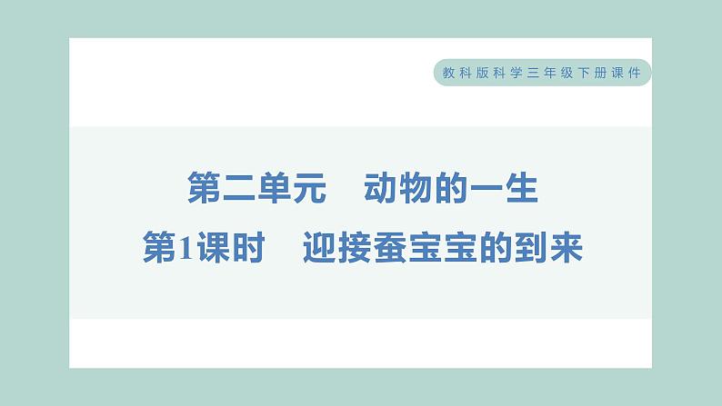 教科版科学三年级下册(2-1)迎接蚕宝宝的到来 习题6第1页