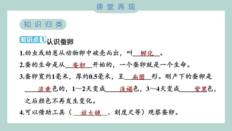 教科版科学三年级下册(2-1)迎接蚕宝宝的到来 习题6第3页