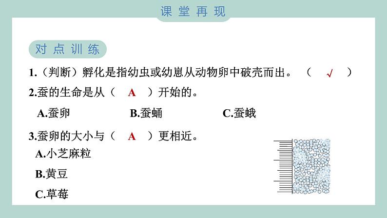 教科版科学三年级下册(2-1)迎接蚕宝宝的到来 习题6第5页