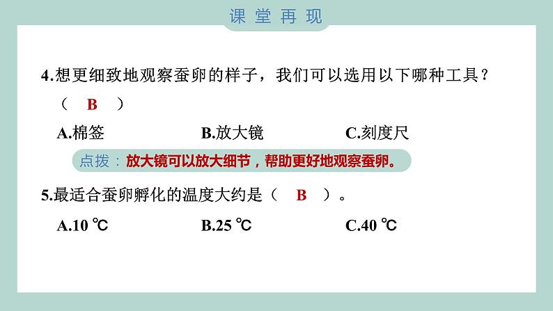 教科版科学三年级下册(2-1)迎接蚕宝宝的到来 习题6第6页