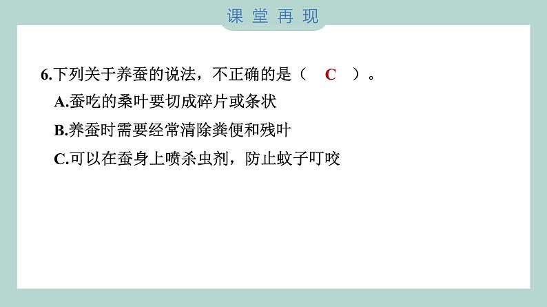 教科版科学三年级下册(2-1)迎接蚕宝宝的到来 习题6第7页