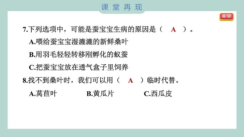 教科版科学三年级下册(2-1)迎接蚕宝宝的到来 习题6第8页