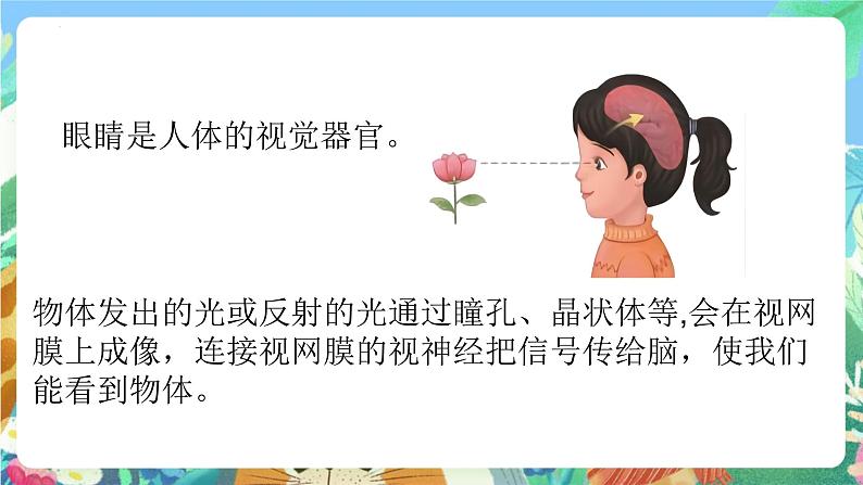 青岛版科学六年级下册1.1《视觉》课件+教案+练习(含答案)+素材07