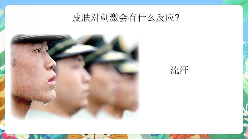 青岛版科学六年级下册1.5《触觉》课件+教案+练习(含答案)+素材07