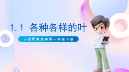 【核心素養(yǎng)】人教鄂教版科學(xué)一年級下冊 1.1《各種各樣的葉》課件+教案+分層練習(xí)