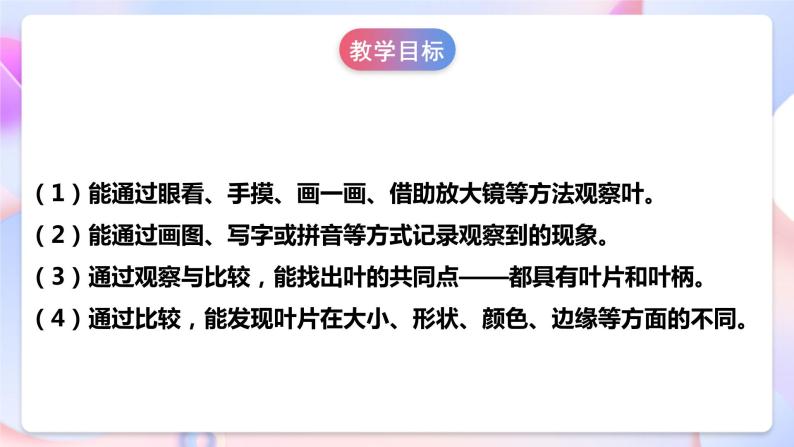 【核心素养】人教鄂教版科学一年级下册 1.1《各种各样的叶》课件+教案+分层练习04