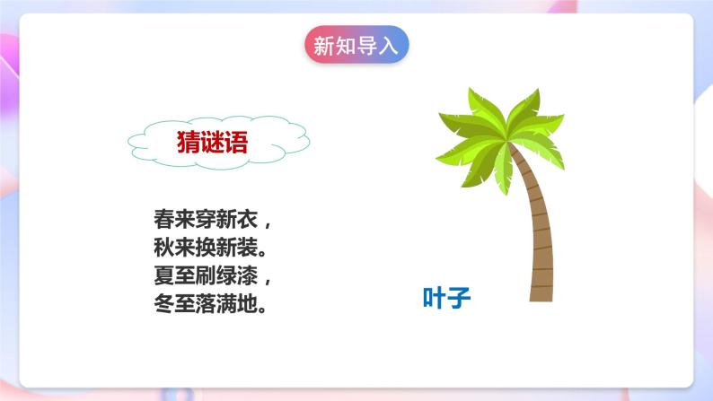 【核心素养】人教鄂教版科学一年级下册 1.1《各种各样的叶》课件+教案+分层练习06