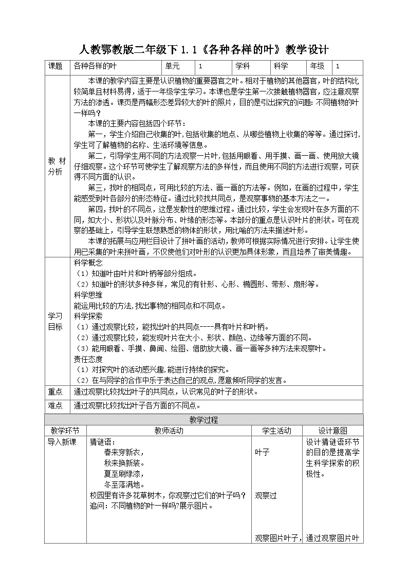 【核心素养】人教鄂教版科学一年级下册 1.1《各种各样的叶》课件+教案+分层练习01