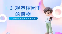 【核心素養(yǎng)】人教鄂教版科學(xué)一年級下冊1.3《觀察校園里的植物》課件+教案+分層練習(xí)