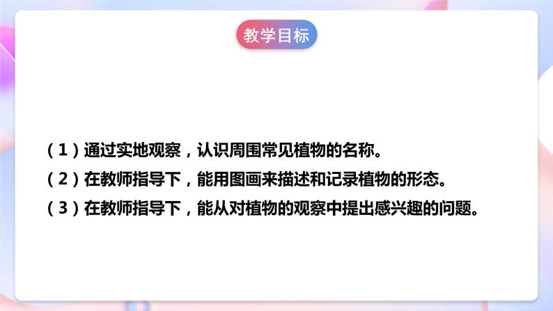 【核心素养】人教鄂教版科学一年级下册1.3《观察校园里的植物》课件+教案+分层练习04