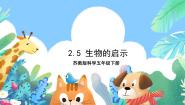 小学科学苏教版 (2017)五年级下册5 生物的启示精品课件ppt