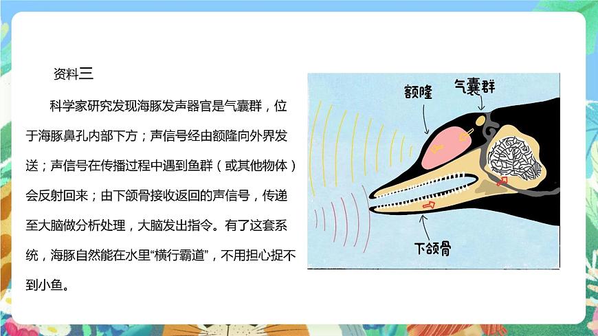 蘇教版科學(xué)五年級(jí)下冊(cè) 2.7《海豚與聲吶》課件第7頁(yè)