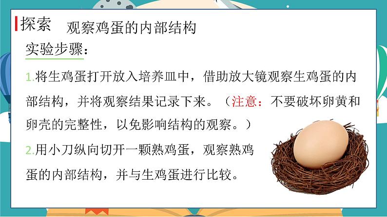 教科版科学三年级下册(2-2)认识其他动物的卵PPT课件第6页