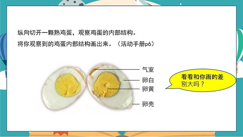 教科版科学三年级下册(2-2)认识其他动物的卵PPT课件第7页