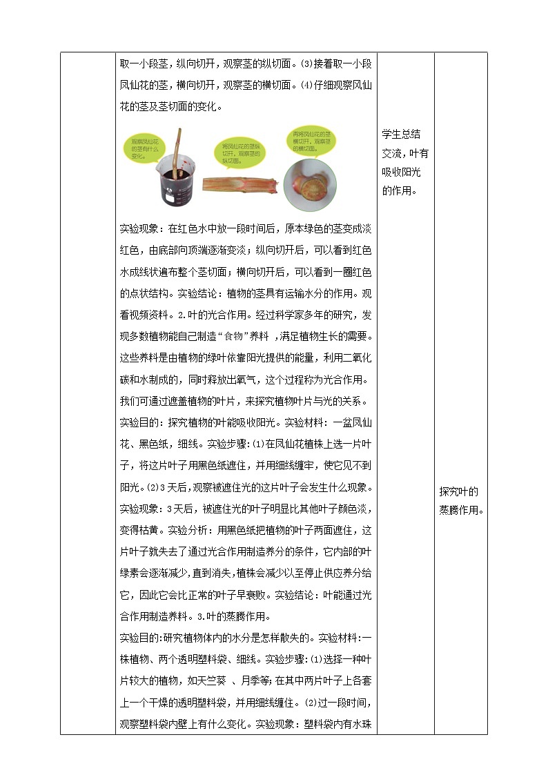新教科版四年级下册科学1.4《茎和叶》教案(定稿)第3页