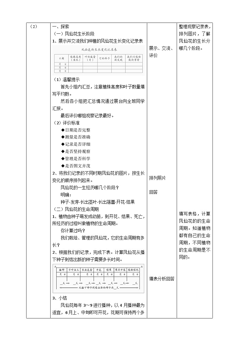 新教科版四年级下册科学1.8《凤仙花的一生》教案(定稿)02