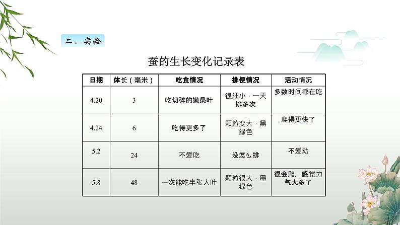 教科版科学三年级下册(2-3)蚕长大了PPT教学课件第5页