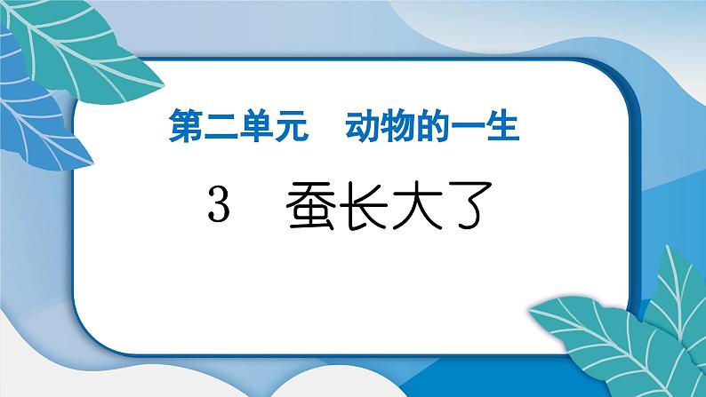 教科版科学三年级下册(2-3)蚕长大了习题2第2页